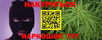 бошки Кингисепп