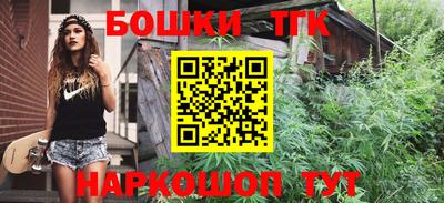 бошки Кингисепп
