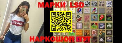 бошки Кингисепп