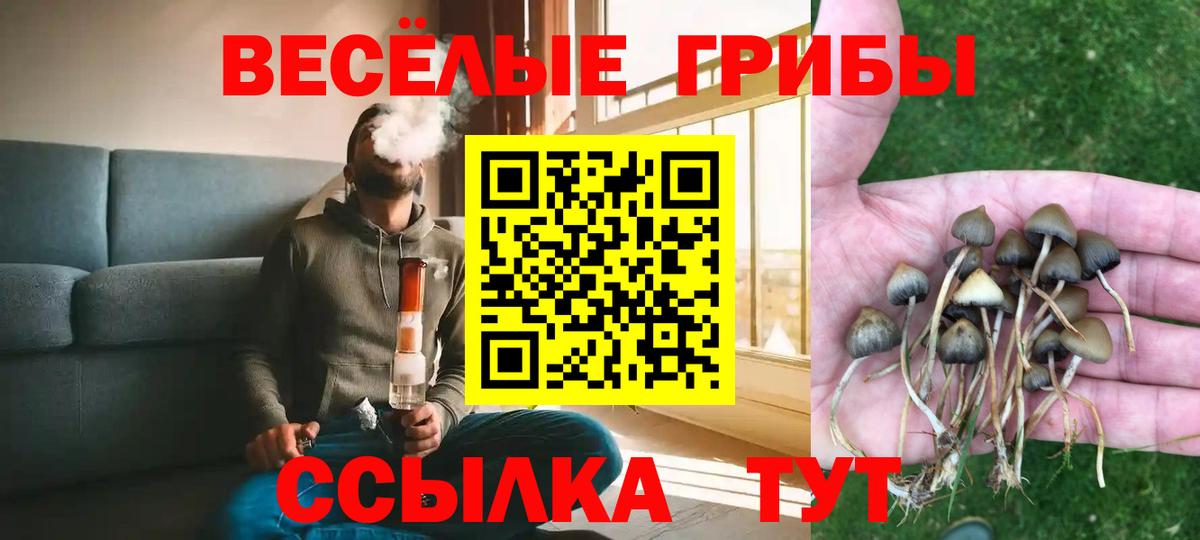 Галлюциногенные грибы мицелий  Галлюциногенные грибы Psilocybe  Коркино  Вход с VPN 